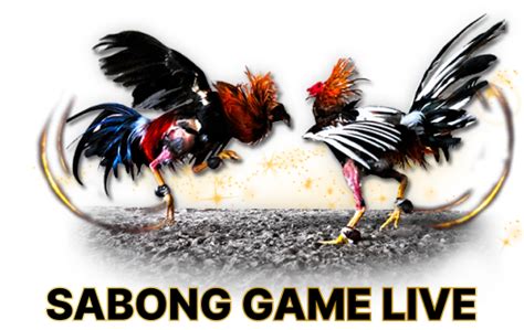 www sabongww2 live